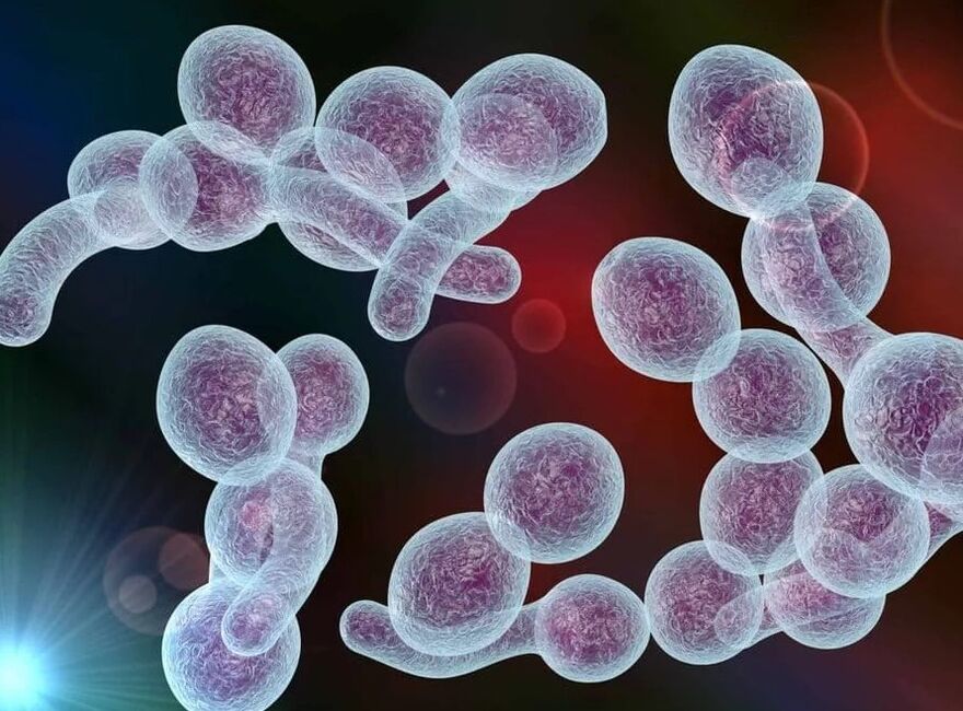 Bacterial prostatitis