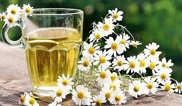 Chamomile tea treats prostatitis